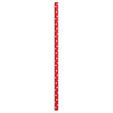 Red & Black Paper Straws (100 Pack)